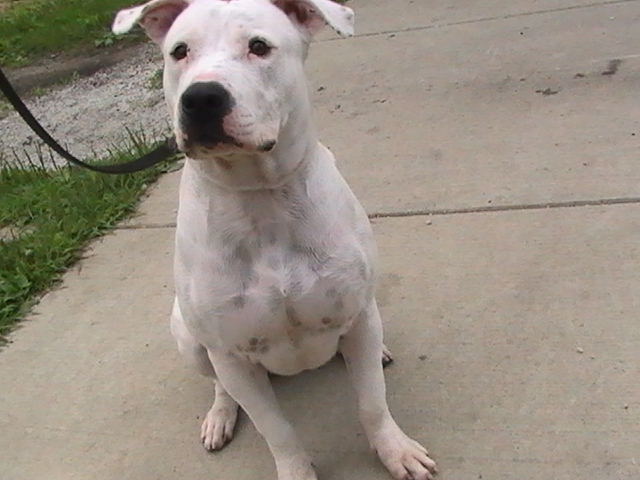 pic_0802.jpg